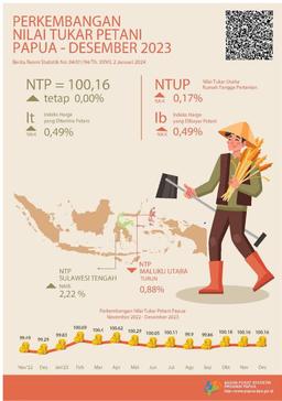 Perkembangan Nilai Tukar Petani Provinsi Papua Desember 2023