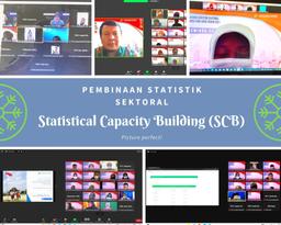 Pembinaan Statistik Sektoral