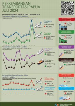 Perkembangan Transportasi Papua Juli 2024