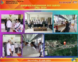 Supervisi Passengger Exit Survey (PES) 2024