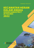 Kecamatan Heram Dalam Angka 2022